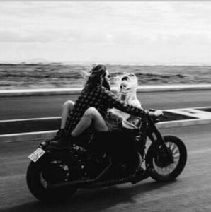 Meet your Posher, Shannon